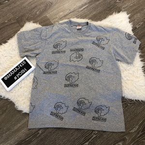 Supreme Authentic Gonz grey tee shirt men’s medium pre owned